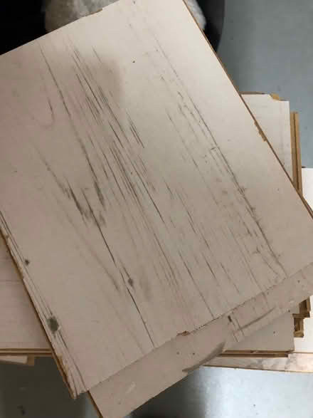 Photo of free Very light laminate flooring (Redditch B98) #2