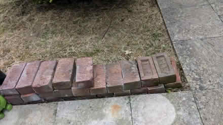 Photo of free 25 Old Red Bricks (BN8) #1