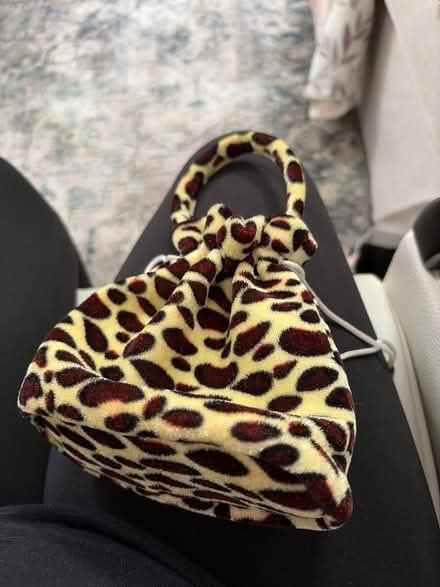 Photo of free Little girls purse (Irving Park and Bartlett Rd) #1