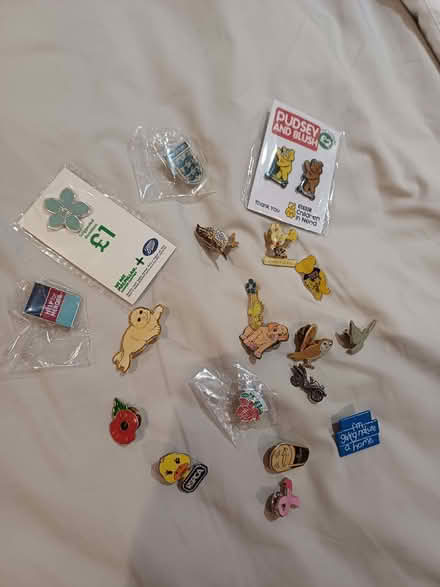 Photo of free Pin badges (Steyning BN44) #1