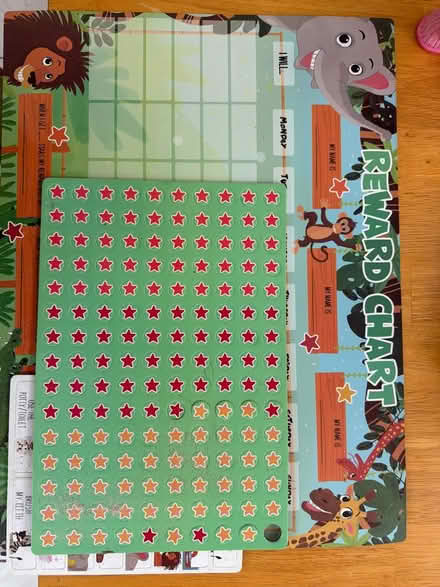 Photo of free Reward chart for child (Town of Poughkeepsie) #1