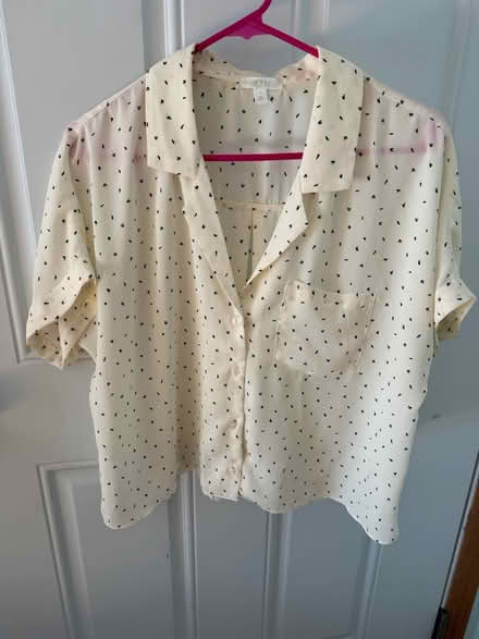 Photo of free Woman’s blouse (Roselle, Il) #1