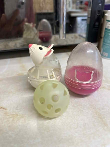 Photo of free Cat toys (Monks Hill CR2) #1