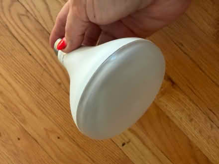 Photo of free 12 canister light bulbs (Roselle, Il) #2