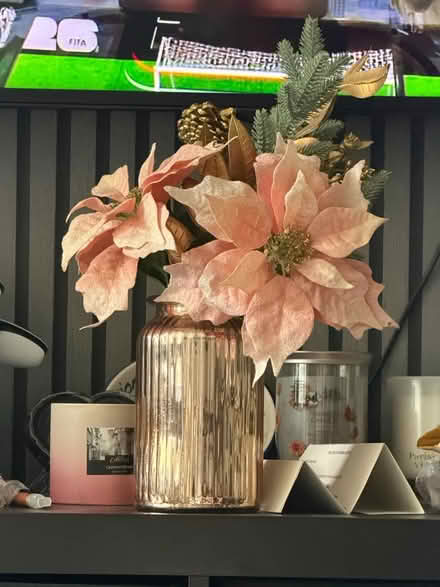 Photo of free Display flowers pink (M350lh) #1