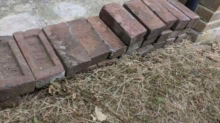 Photo of free 25 Old Red Bricks (BN8) #2