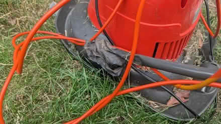 Photo of free Strimmers and lawnmower (Barming, Maidstone) #3