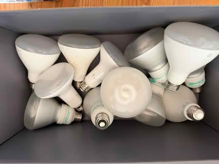 Photo of free 12 canister light bulbs (Roselle, Il) #1