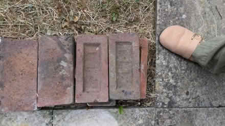 Photo of free 25 Old Red Bricks (BN8) #3