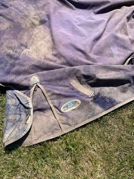 Photo of free Horse turnout rugs x 2 (WR13 Berrow) #1