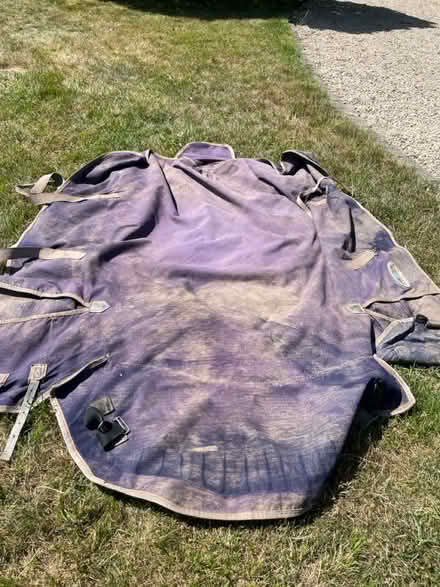 Photo of free Horse turnout rugs x 2 (WR13 Berrow) #2