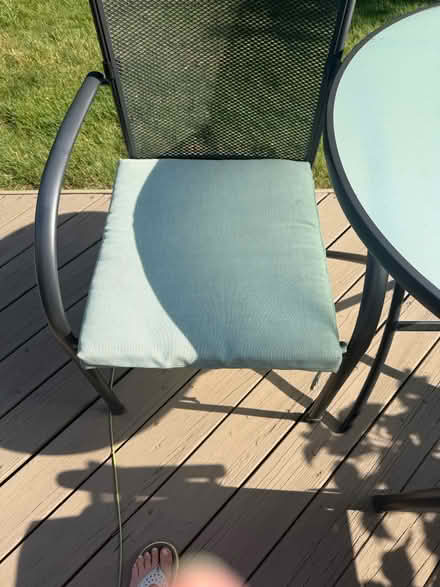 Photo of free 2 aqua outdoor chair cushions (Westmont il) #1
