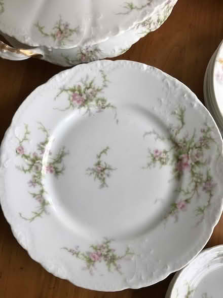 Photo of free Haviland china (West Hill, Ithaca) #1