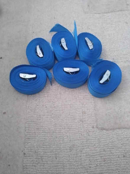 Photo of free 6 x 14 '(4.2 m) straps with buckles (Thorpe Bay, SS1) #1