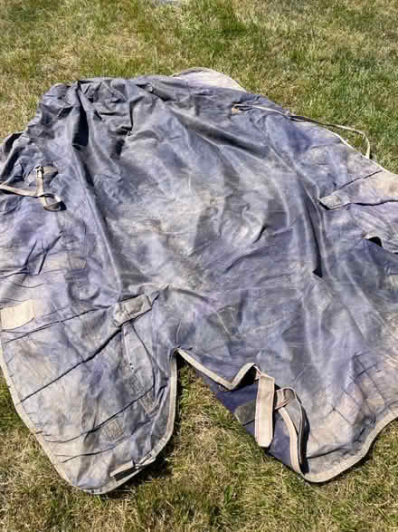 Photo of free Horse turnout rugs x 2 (WR13 Berrow) #3