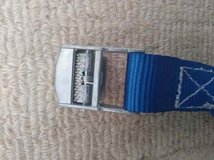 Photo of free 6 x 14 '(4.2 m) straps with buckles (Thorpe Bay, SS1) #3