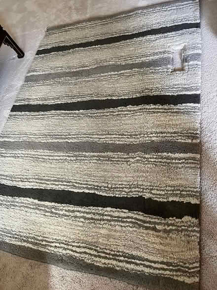 Photo of free 5' x 7' area rug (northeast ann arbor) #1