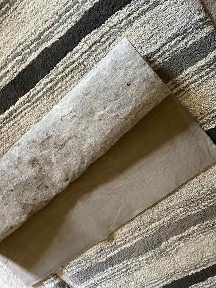 Photo of free 5' x 7' area rug (northeast ann arbor) #4