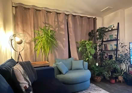 Photo of free Curtains for large window (BS7) #3
