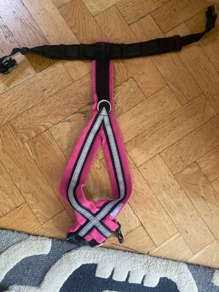 Photo of free Dog harnesses & leads (Doberman) (N14 Oakwood Park) #4