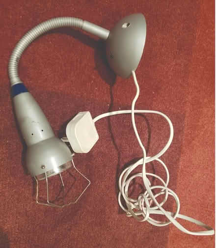Photo of free Grey wall lamp with plug (Ranelagh) #1