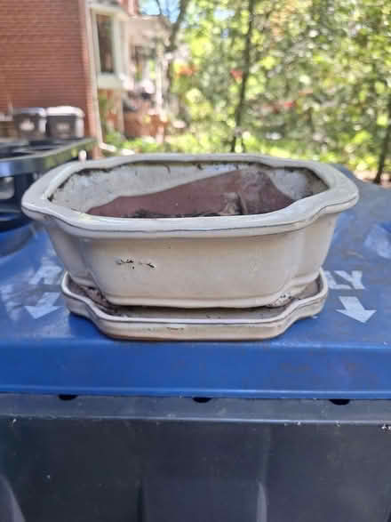 Photo of free Bonsai pot and saucer (Hurontario and South Service) #1