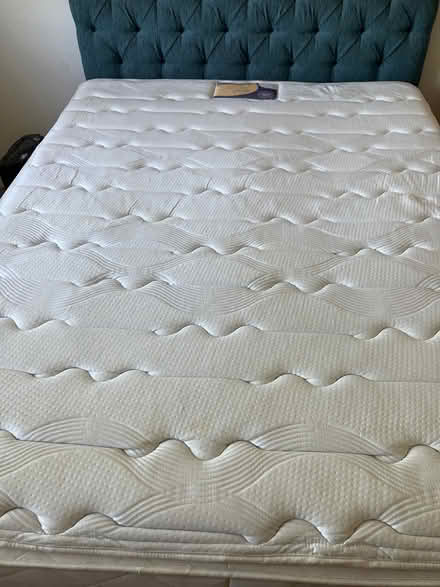 Photo of free King sized bed (Tavistock) #2