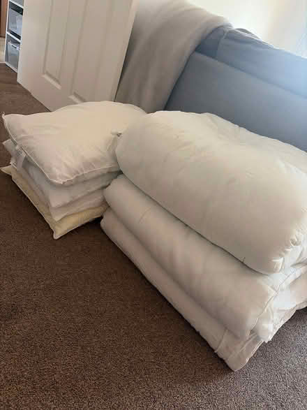 Photo of free Bedding (TN35 Ore) #1