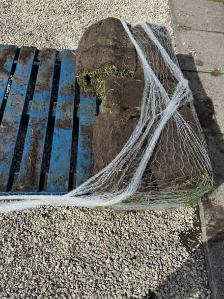 Photo of free Turf delivered today. Eccleston (Eccleston) #1