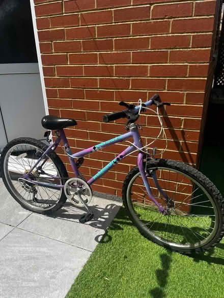 Photo of free Mountain bike (Birdsfoot Lane LU3) #2
