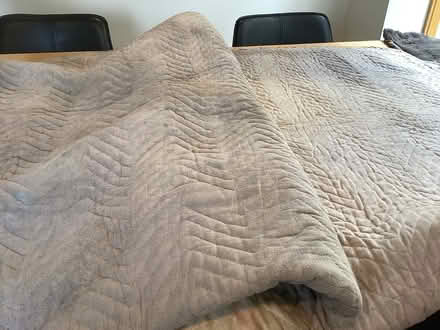 Photo of free Quilted moving blanket (North west Seattle) #1