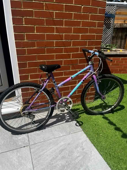 Photo of free Mountain bike (Birdsfoot Lane LU3) #1