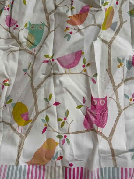 Photo of free Pair of curtains (Surbiton) #2