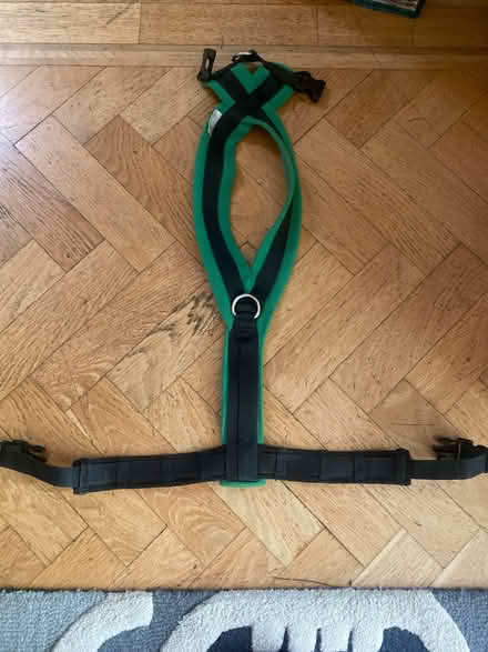 Photo of free Dog harnesses & leads (Doberman) (N14 Oakwood Park) #2