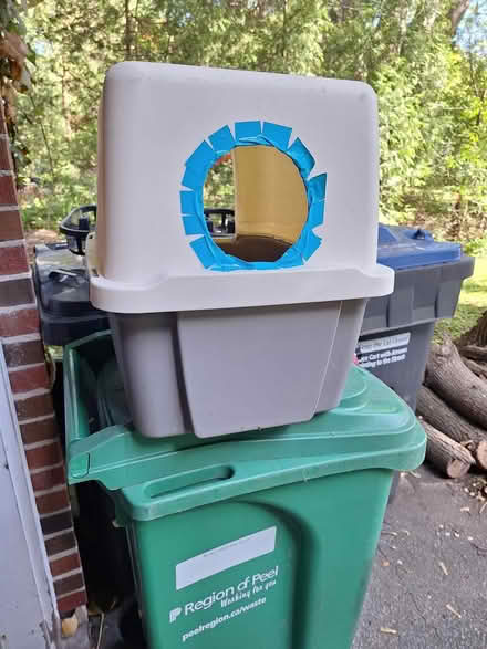 Photo of free Cat litter bin with cover (Hurontario and South Service) #2
