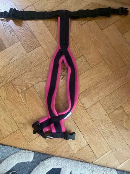 Photo of free Dog harnesses & leads (Doberman) (N14 Oakwood Park) #3
