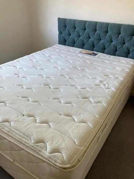 Photo of free King sized bed (Tavistock) #1