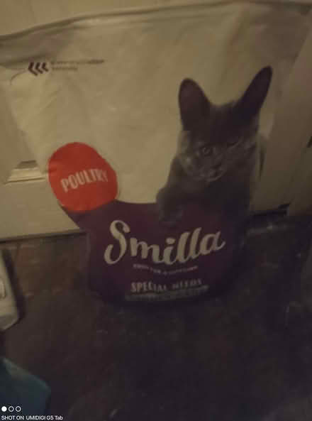 Photo of free Dry cat food (Anerley SE20) #1