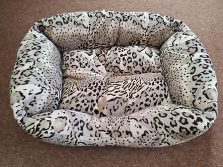 Photo of free Cat bed (Penwortham Lane PR1) #1