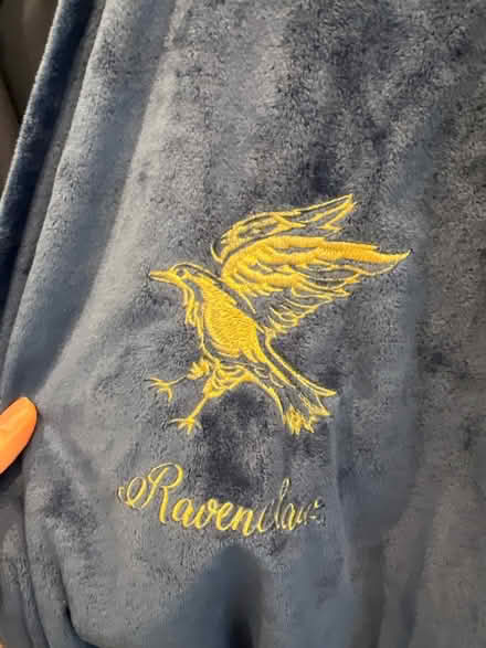 Photo of free Harry Potter robe (Old Town) #2