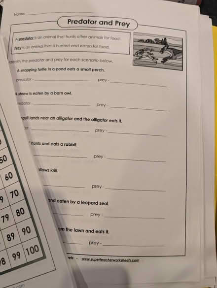 Photo of free Gr. 1/2 activity worksheets (North West Brampton) #4