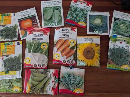 Photo of free Seeds various (Montreal road and St Laurent) #1