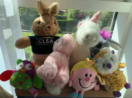 Photo of free Soft toys bundle (SW6) (Fulham SW6) #1