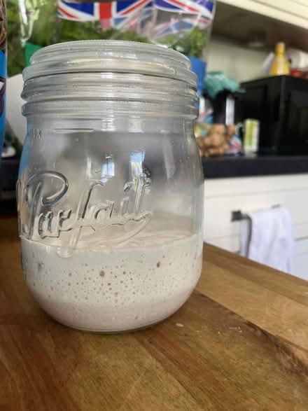 Photo of free Sour dough starter (Haywards Heath) #1