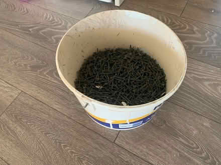 Photo of free Nails (Faversham ME13) #2