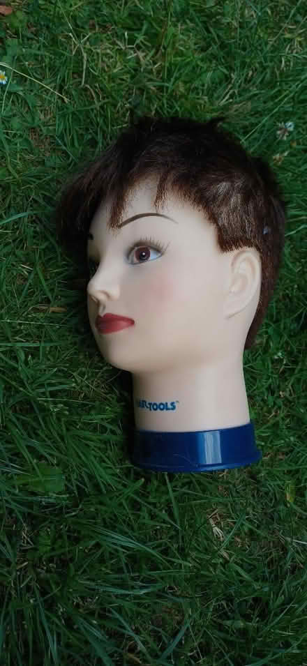 Photo of free Heads (Ng3 5lh) #4