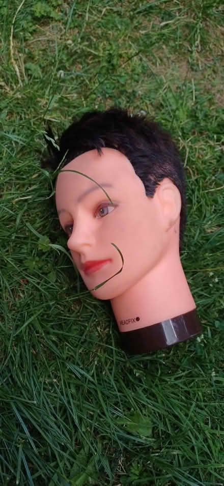 Photo of free Heads (Ng3 5lh) #1