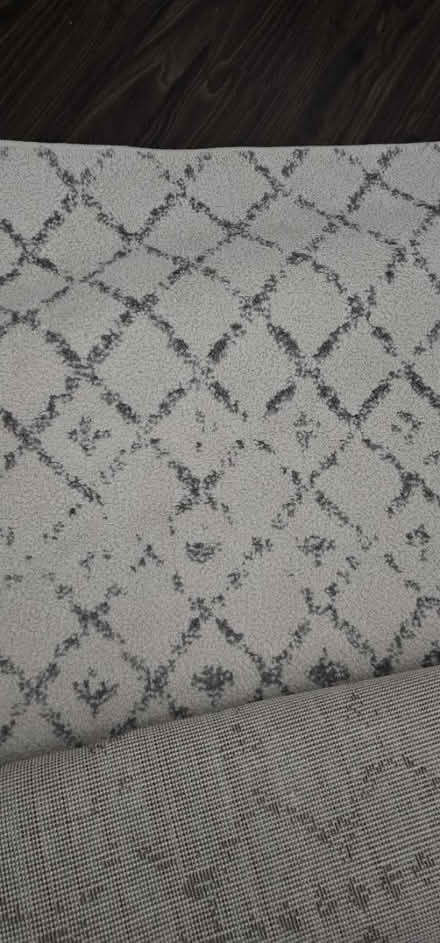 Photo of free 8x10 rug (Near Menchville high School) #1