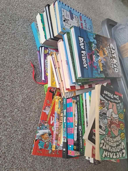 Photo of free Children's novels (Hoddom DG11) #1