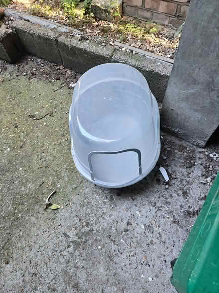 Photo of free XL plastic cat litter box (Dalston / Stoke Newington) #3